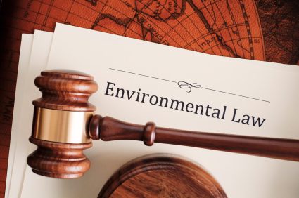 Authorities Must Ensure Compliance of Environmental Norms: The National Green Tribunal, Principal Bench, New Delhi