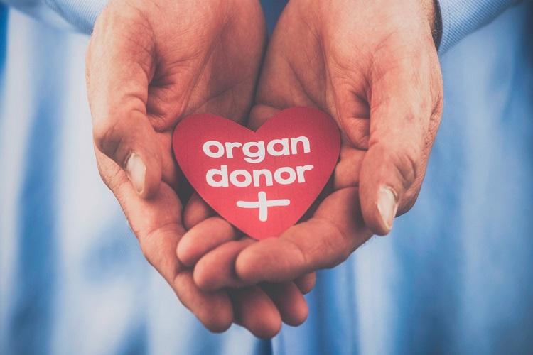 The Kerala High Court held that organ donation cannot be assumed to involve exploitation just because the donor is from a low-income background.