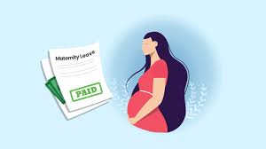 Madras High Court held that welfare legislation Maternity Benefits Act cannot be denied merely on the basis of technicalities