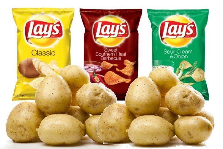 Case Study: PepsiCo India vs. Gujarat Potato Farmers