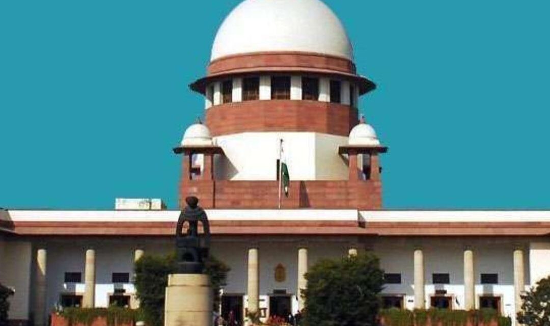 Supreme Court Remands Property Dispute Case for Fresh High Court Review